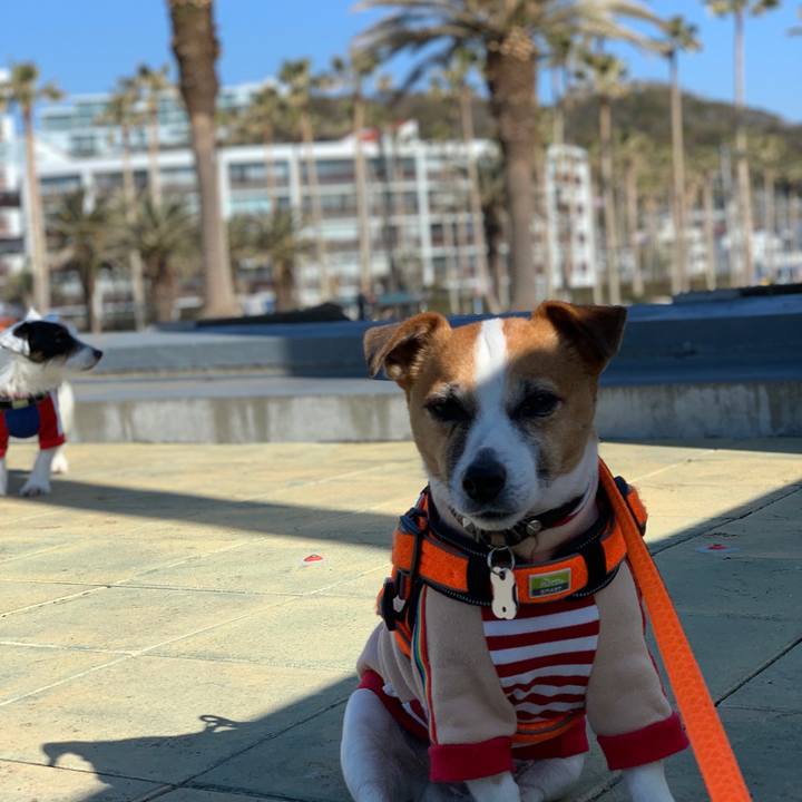 A6edd25b 8732 46e4 8860 cf311e67a102 1549163050725