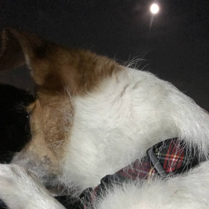 A6edda37 d8dd 4ab0 ba94 3a664d78c33c 1530010853668