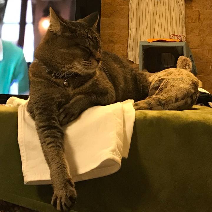 A6ee6679 5da2 4758 94d7 be01a700b950 1561552243780