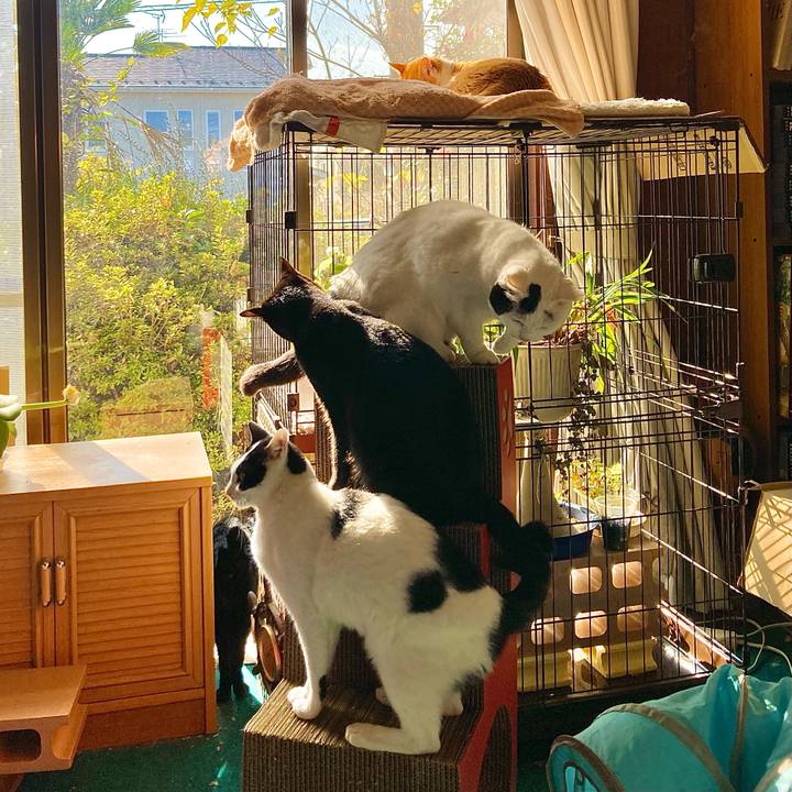 A6ee7c64 37a4 4b5f b65f 7a38d920c6a8 1669706320236