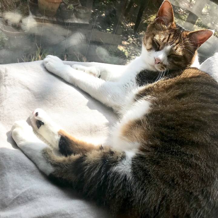 A6ee7f34 f526 4fa5 a561 67d585d04d4c 1554007129102