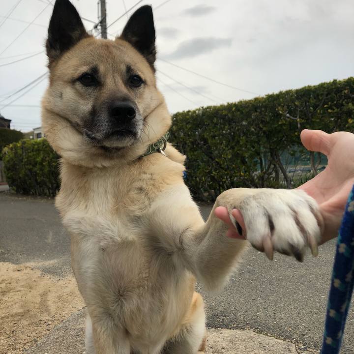 A6eed080 d48d 497f 87fb a4884a5c1468 1615552666467