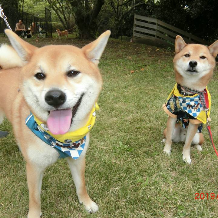 A6ef1a7a bf04 4deb ac71 5b3c70996017 1569683184369