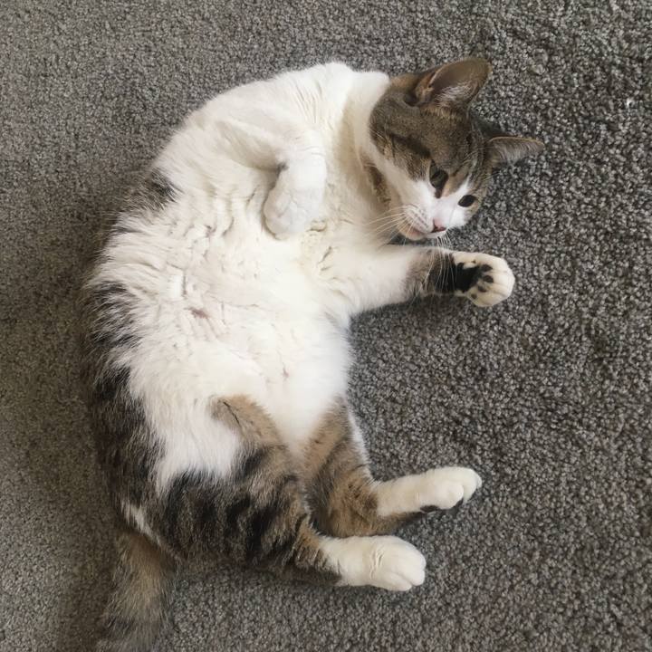 A6ef2d4e 7d08 421f ba20 eaf521260071 1649293086826