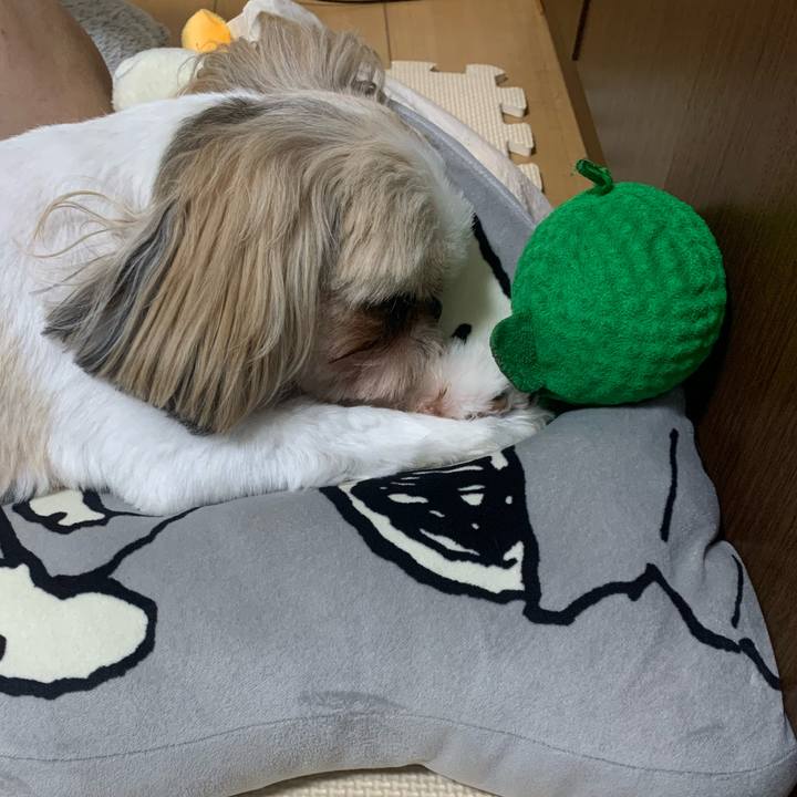 A6ef36ce 5442 467c 81fd deb6e2e7bec9 1659870326058