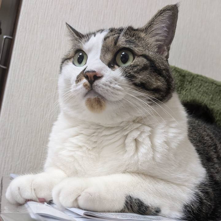 A6ef5c09 a48e 42f5 8e4e da5a087cc43d 1724120743539