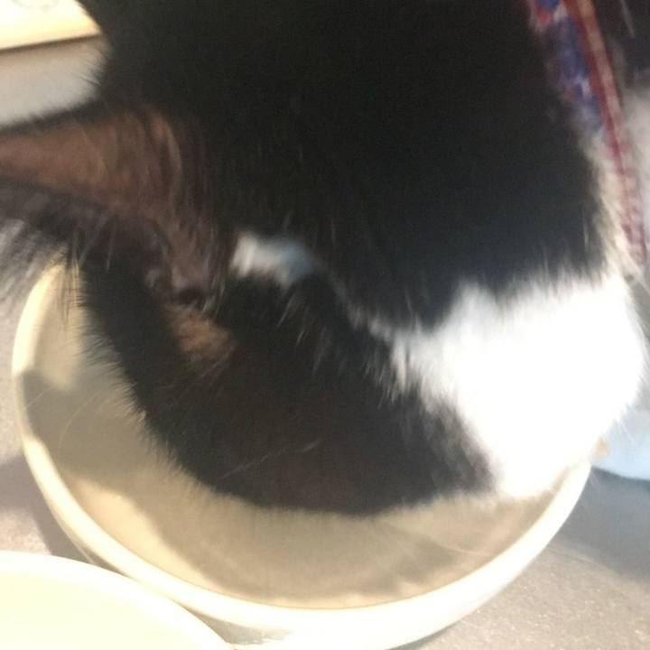 A6ef901f 8af6 423f b49b e1fc45f6a136 1527781413300