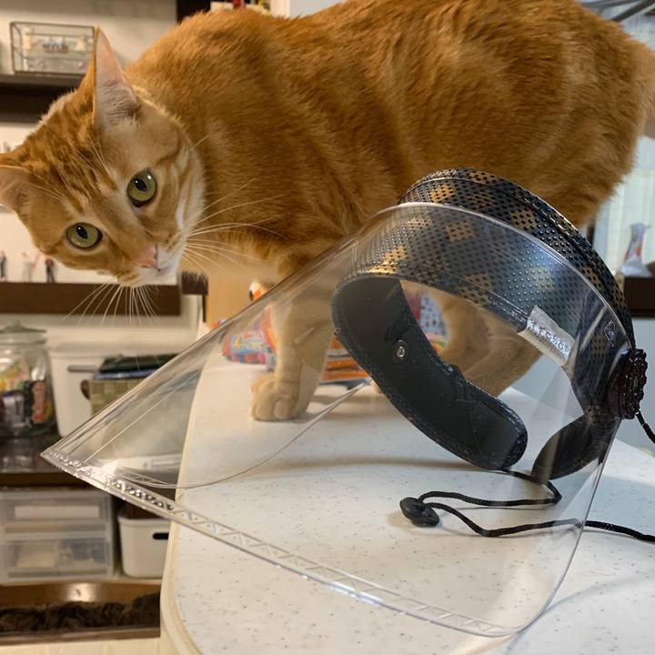 A6ef984a 4050 4c89 8dd6 776c9bc9b9f8 1588890711952