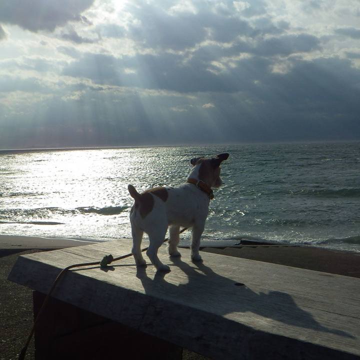 A6efb1c9 d50f 46bf 880e 17634ea5b73c 1553174005556