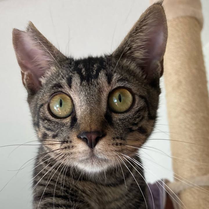 A6efb7b0 741e 4815 82de 5e6d14059194 1606294420878