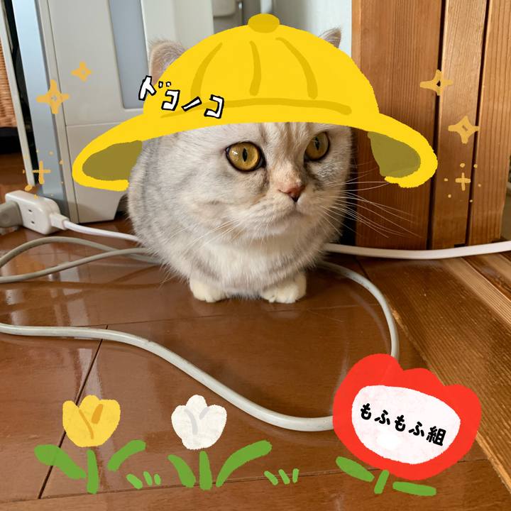 A6efff05 4853 4787 927e ea8e897f4842 1712473104618