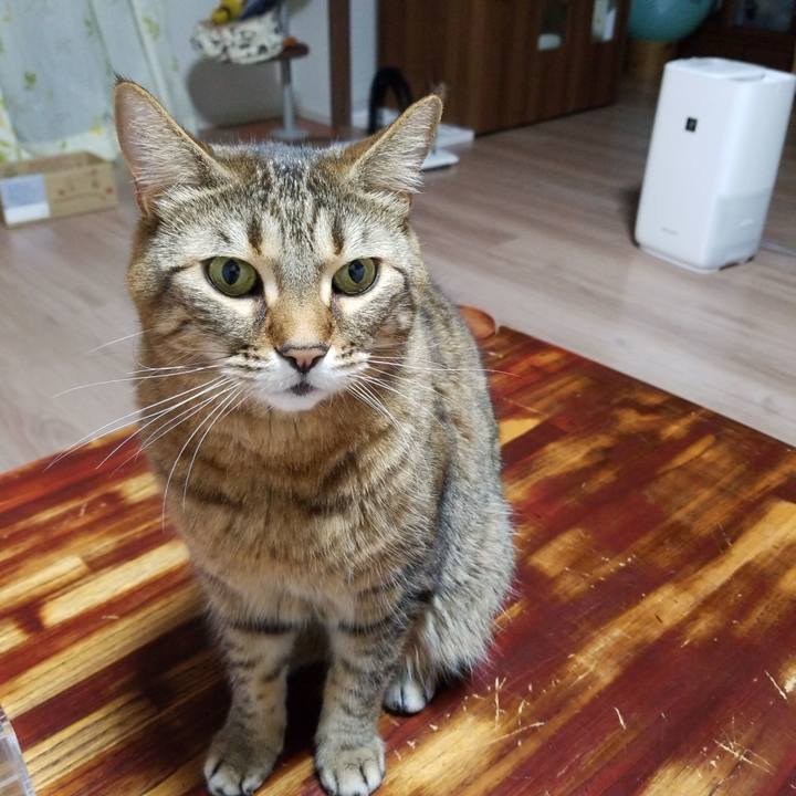 A6f02d98 bb19 427c aec7 9682887748e3 1587038994388