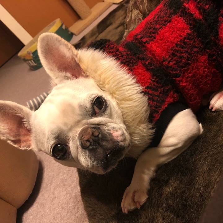 A6f02e94 e990 4694 b7fd 7f5d67c9fd77 1579431994900