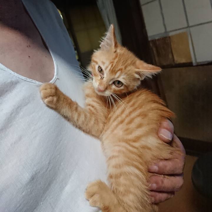 A6f03538 da34 4a69 8e0e 64f3aa549dfd 1629373852627