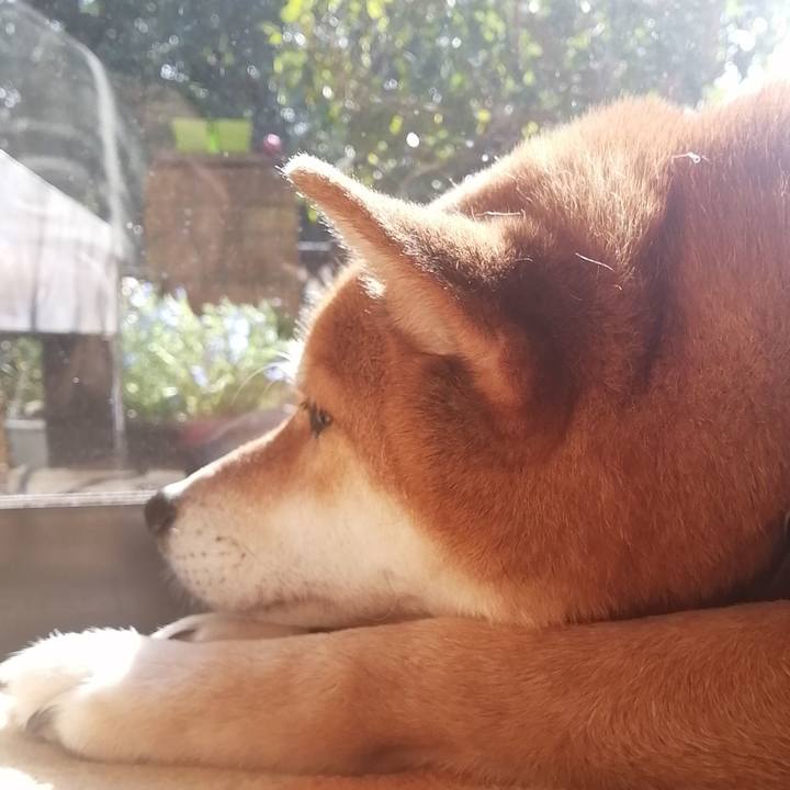 A6f07616 5b76 40c9 b4b6 beb56b266cfe 1583386685242