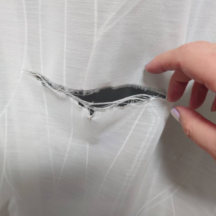 A6f078ed 23e3 4741 8f05 42298039b98a 1637974530779