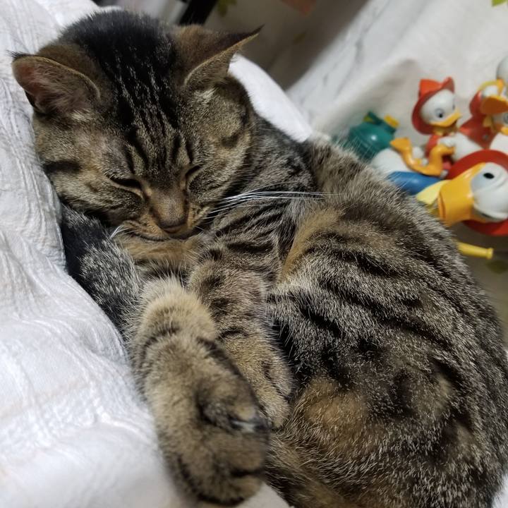 A6f0c14a d509 459c b3db 61776c181eee 1619958226619