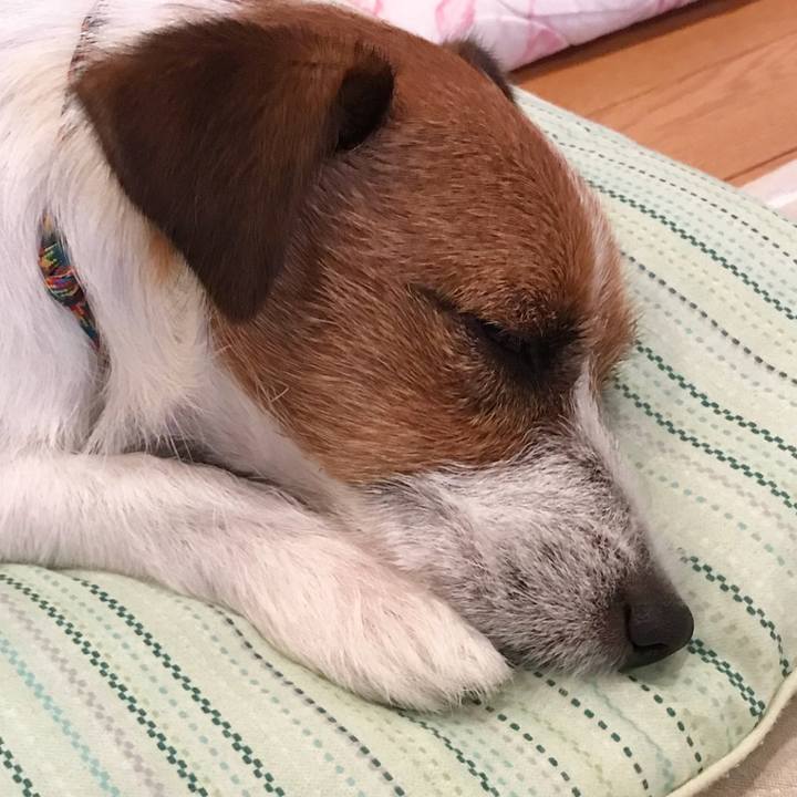 A6f10884 7c61 4b0a a44b 8175b2ac5522 1508668788723