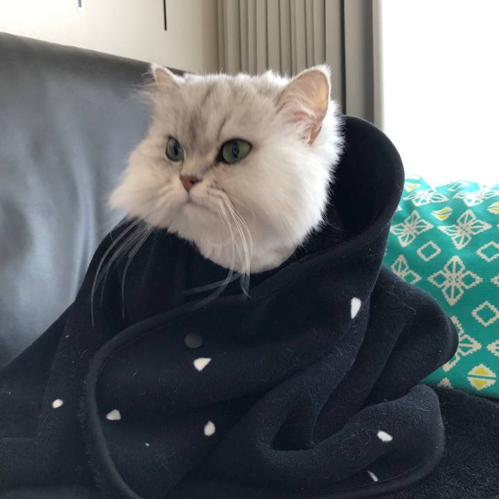 A6f12e75 9a8a 4cdf 9370 85c71cd209c0 1523177558815