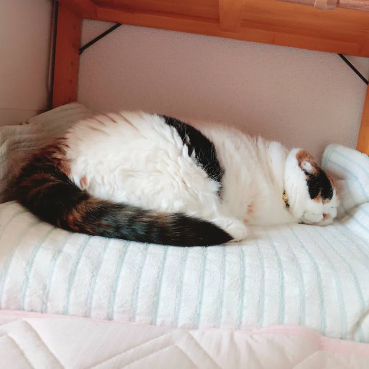 A6f142d7 3659 471d 8952 aefb90ae6a0d 1563423221241