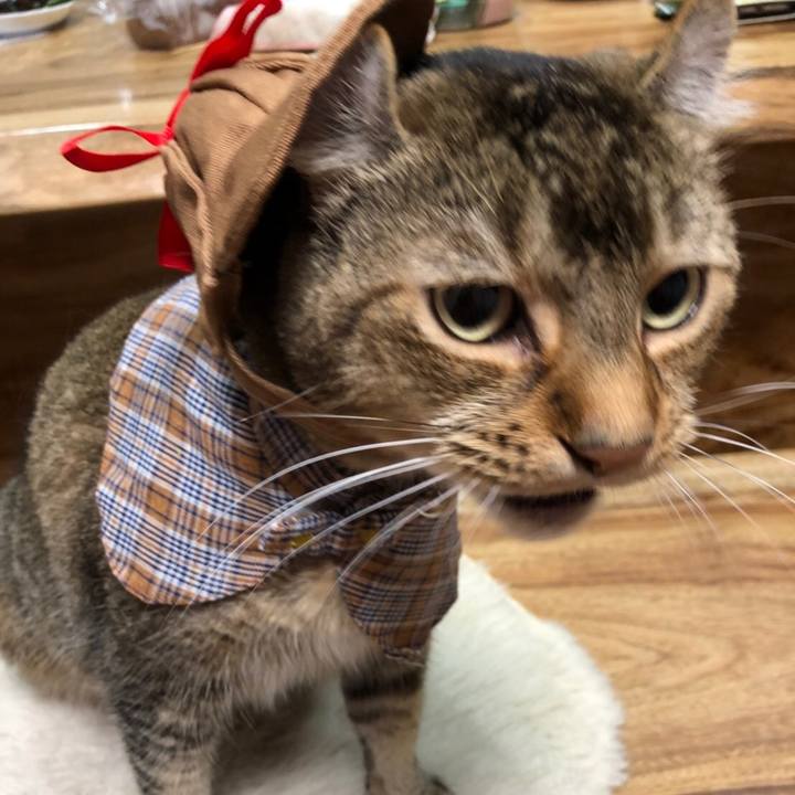 A6f15cef 41dd 4ac1 a368 09f253d32eb7 1594805518053