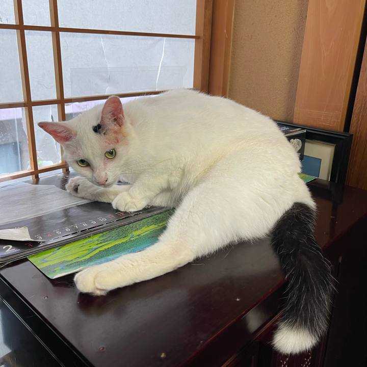 A6f15e5a ccaf 435d bad1 73b7ac586180 1756939562972