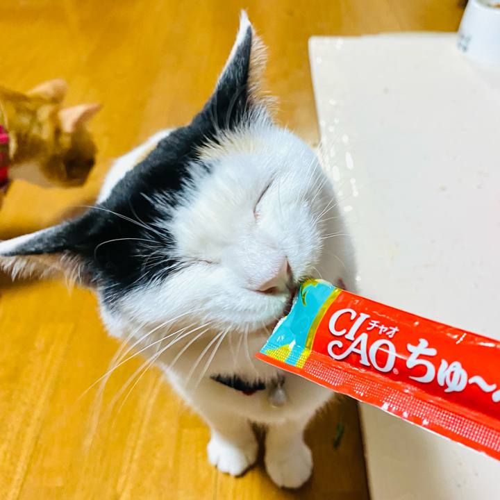 A6f1617c f0cd 4ef0 8e70 080a023054f9 1687356040882