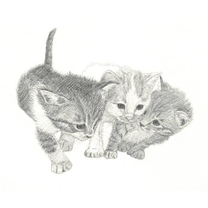 A6f169e0 cf9f 4093 b174 d28881e93883 1542635873720