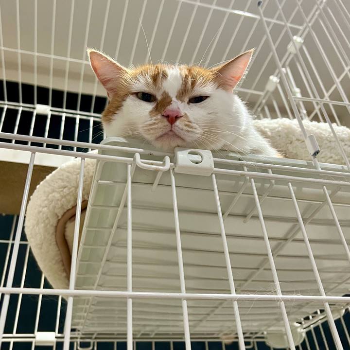 A6f17968 9464 4a8d 88a4 ccc30df74654 1758253408824