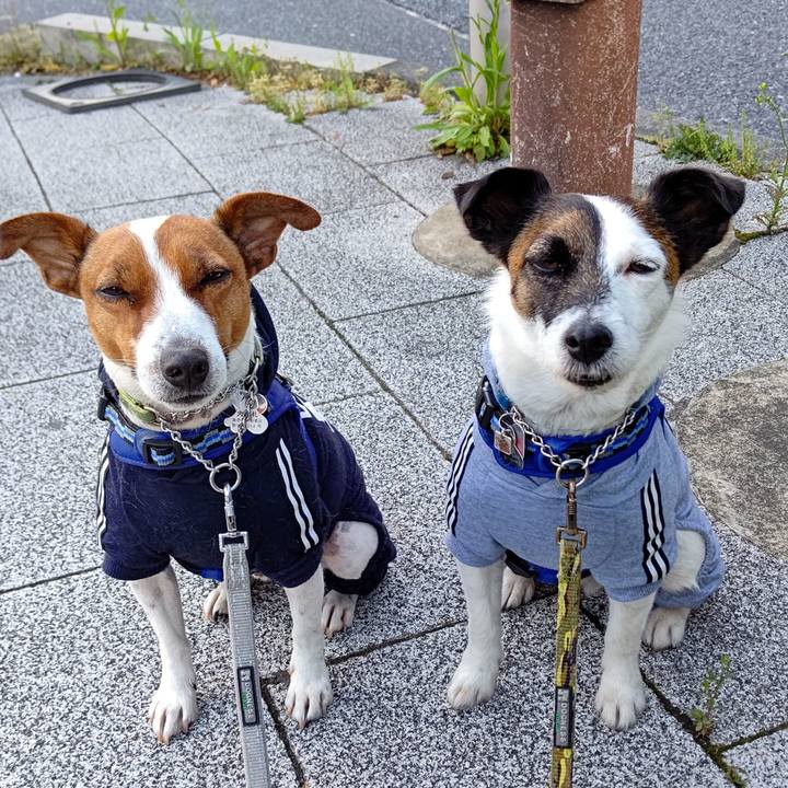 A6f19185 e504 41b0 ac5f f1d876c293e3 1617923905424