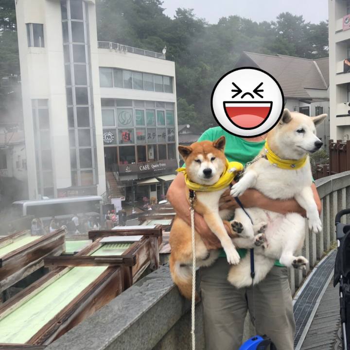 A6f1aafe e53e 4ebd 9523 280899d13d9d 1568703946486