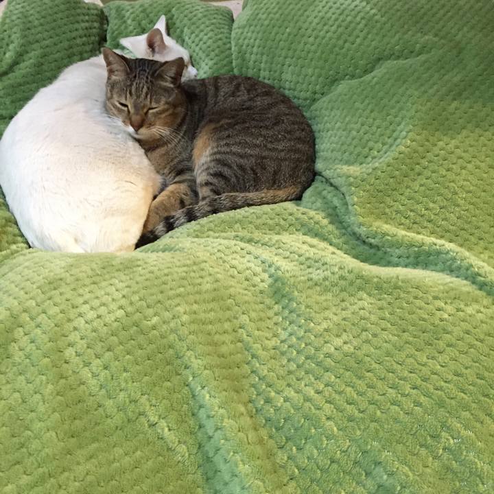 A6f1c1fa 627e 437e 9135 d4188372b53a 1520891195317