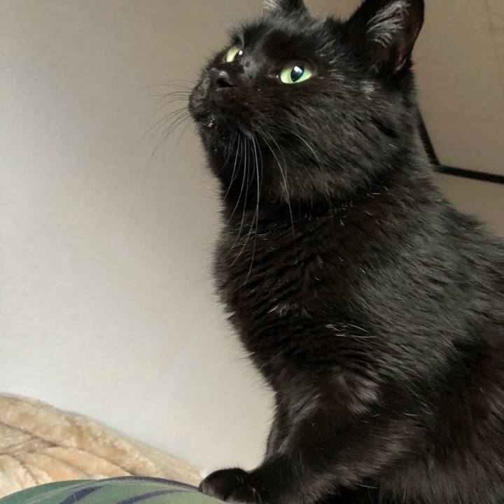 A6f1cf39 90e1 47fa b81d ddcee21d39f9 1604525208152