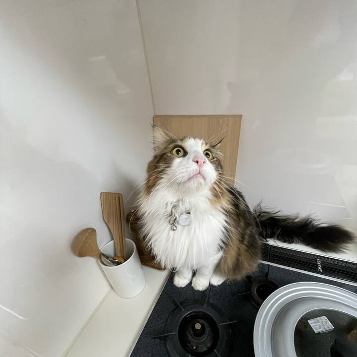 A6f210c7 45ec 44f5 8011 f75412896ffc 1655155544040