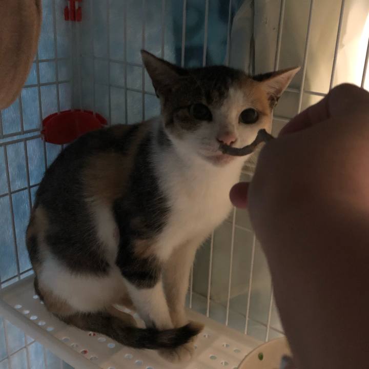 A6f24933 f5b7 4a4a 8f54 fc567ffc70fe 1570833872394