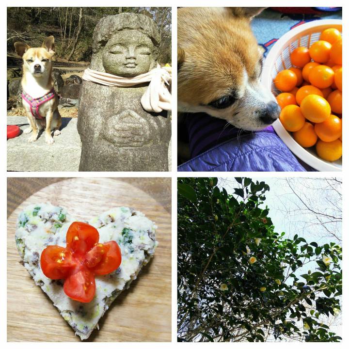 A6f24939 66eb 4320 9648 e6f558ed0248 1613293465748