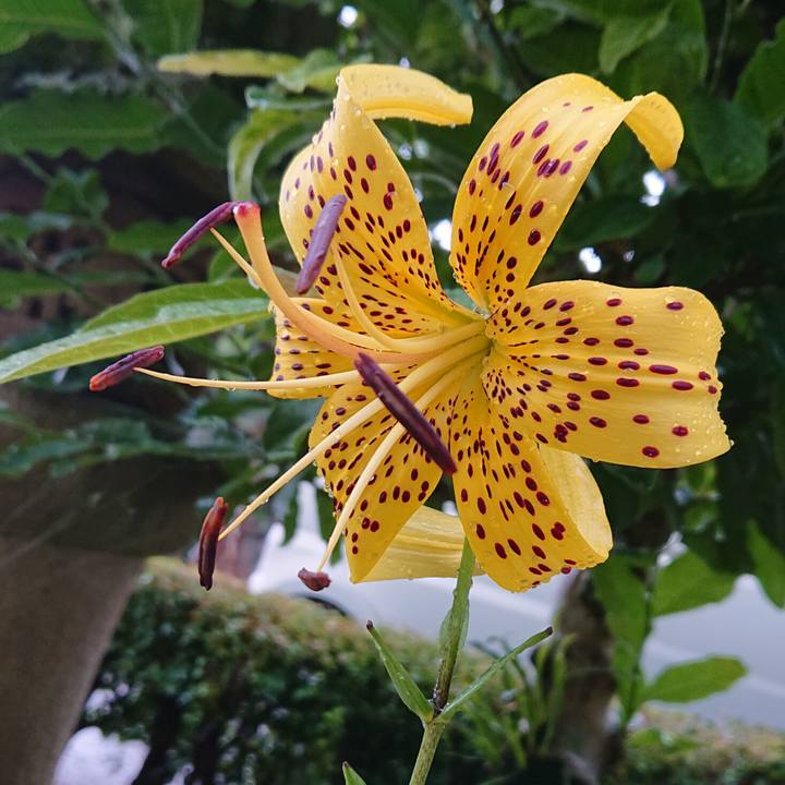 A6f2aeab 03db 4615 a11b 3f2fe21e1201 1593146029319