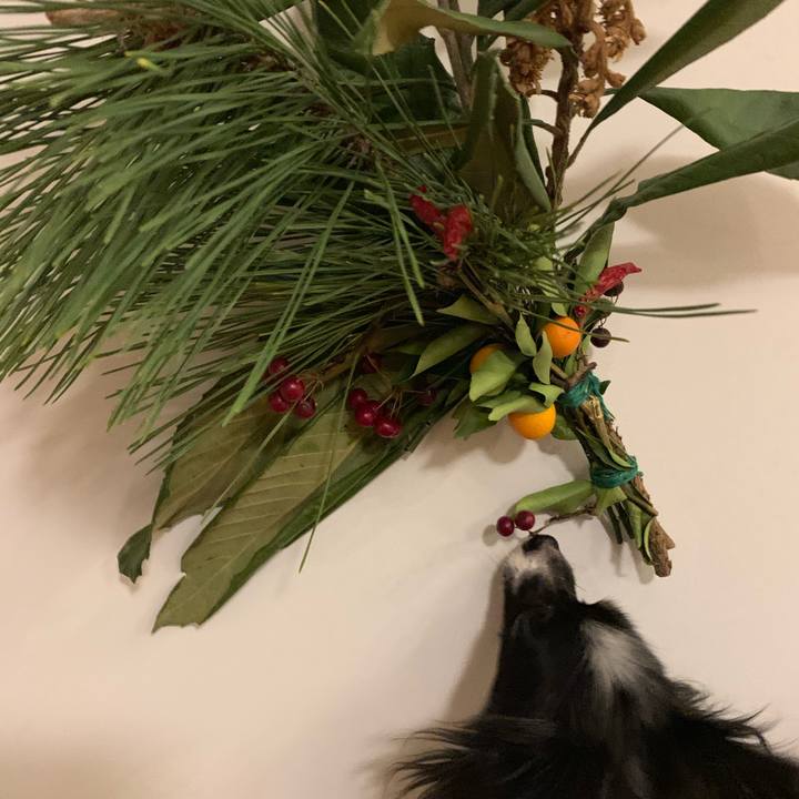 A6f2b205 fde1 45b5 aab6 744c86ed9d17 1546068642255