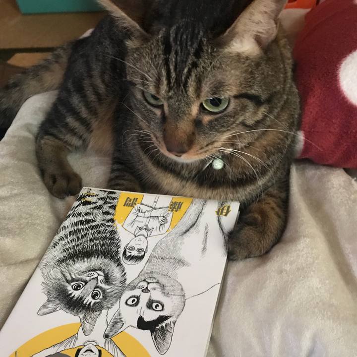 A6f2b456 cbab 4245 86eb 947985f53dbe 1537066900521