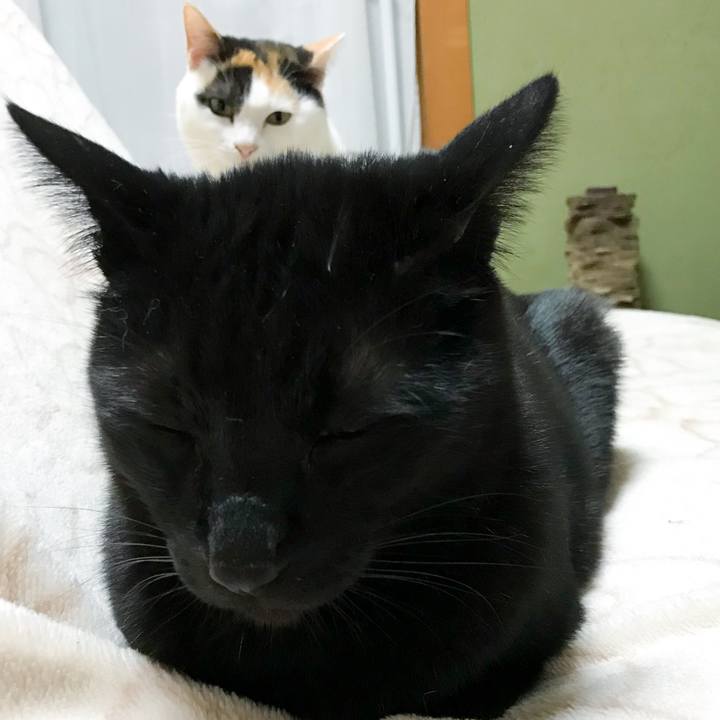 A6f2bfd5 6cd6 4a3a 9e61 a07095df62f3 1521985806887