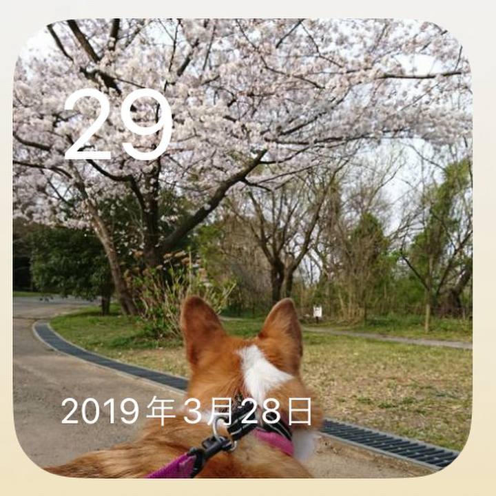 A6f2ce02 247e 4f6c 8c6f 72c1bdf5dc56 1774794916438