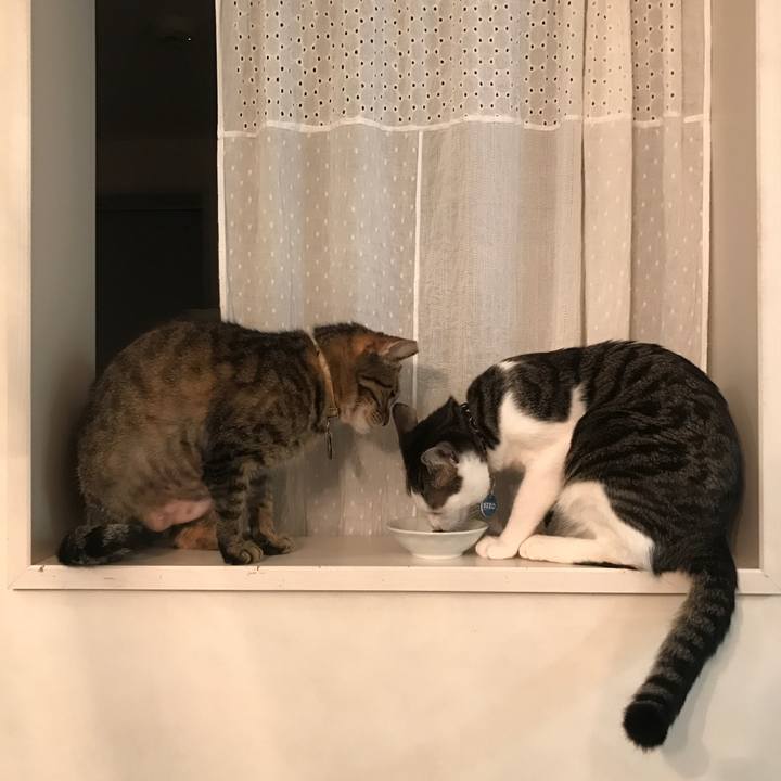 A6f2d94b 2b36 4940 875e 92e9298fc4b6 1521368965827