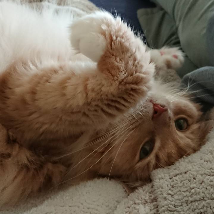 A6f3048e da05 4ed5 9b0f 90dee9f9cde1 1560390030336