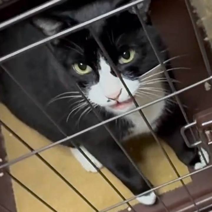 A6f32894 88aa 43f0 8397 dcb7ac73858d 1759486199081