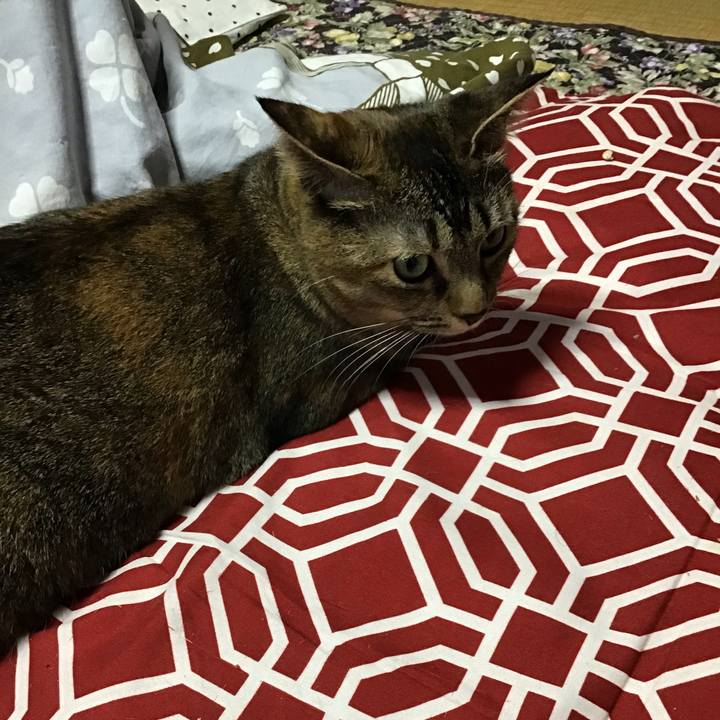 A6f32f5a 868f 403a 9093 8a5f040f6f45 1634876182884