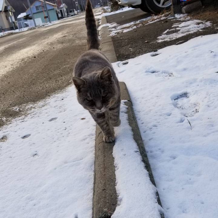 A6f33391 f7af 4169 9986 afbf961736de 1543673393570