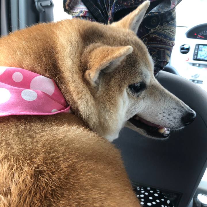 A6f342ec d82a 4fab 809f 7b5e154d16cb 1592023114089