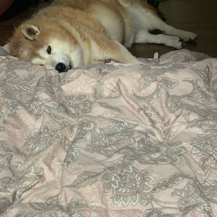 A6f35be0 30a1 4c49 9fe2 42d5d4610885 1633474512497