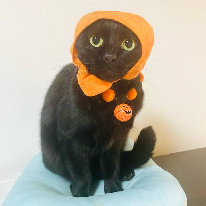 A6f37dd0 08de 4abc a8e6 ef4b678eb10b 1698618931531