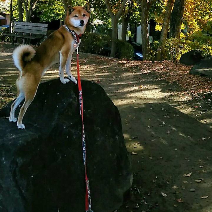 A6f38209 ed5b 407d 8531 4b4ee89f9baa 1575448430308